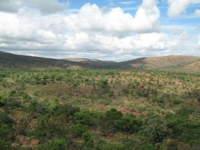 Get your own piece of Bushveld and indulge your senses. - Photo 6