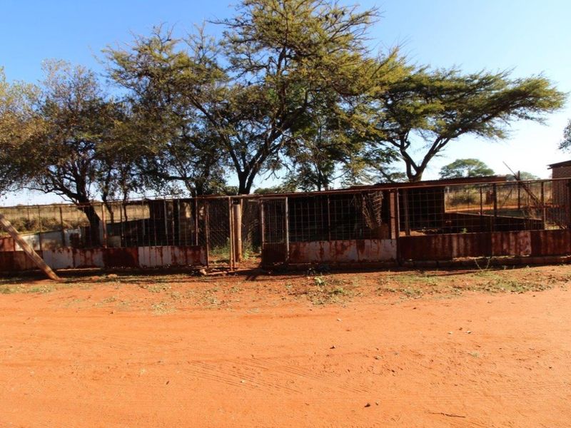 22.5 Ha Farm for Sale, Outside Modimolle - Photo 10