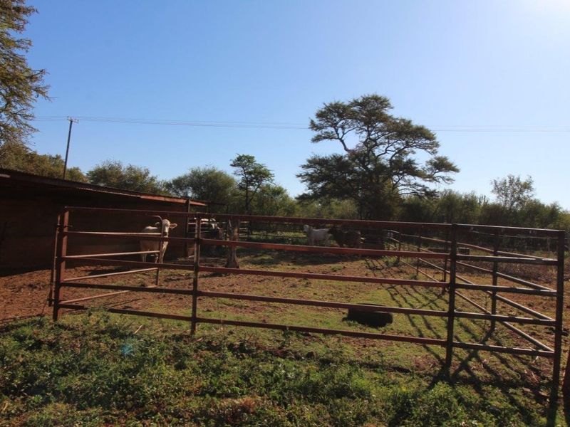 22.5 Ha Farm for Sale, Outside Modimolle - Photo 6