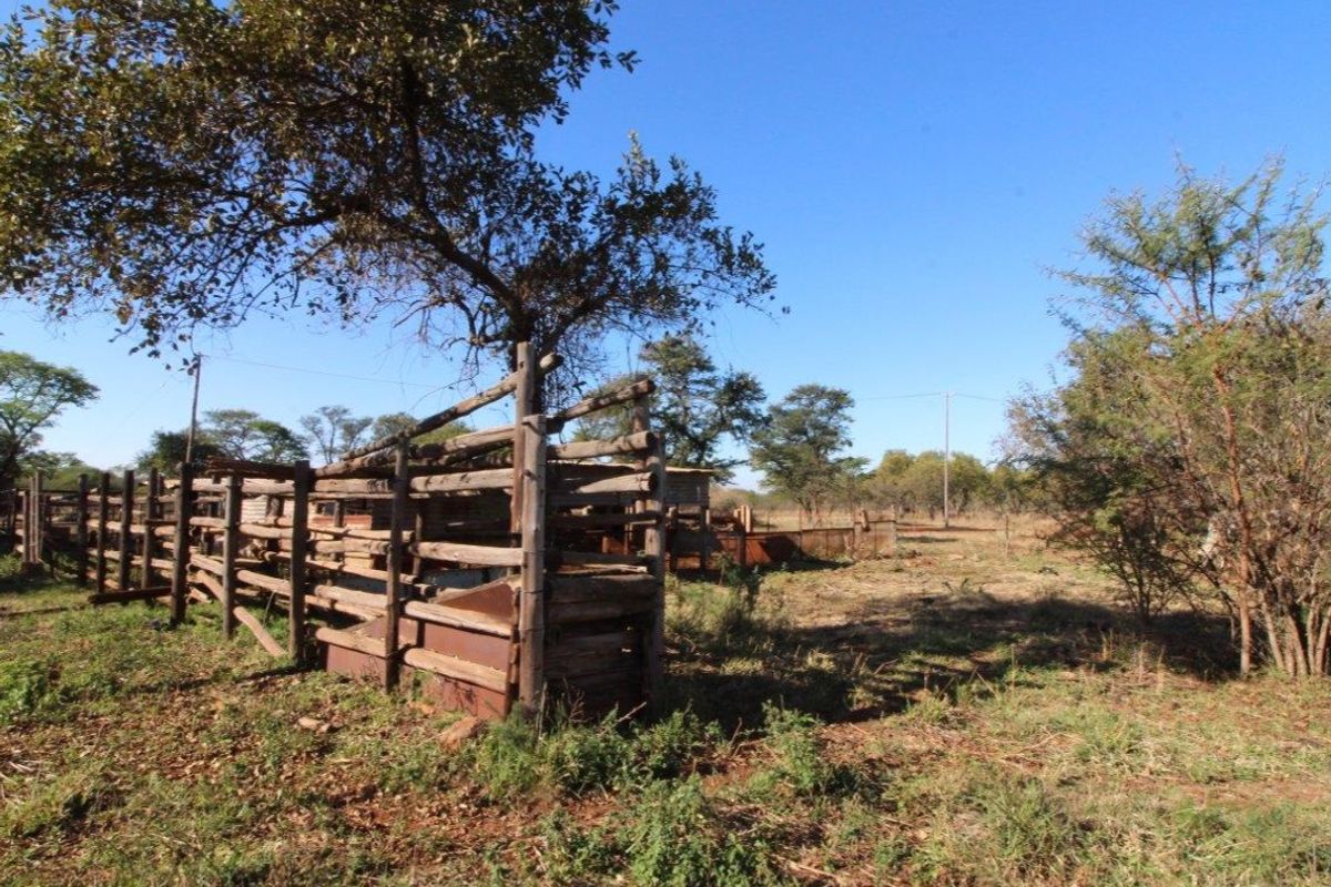 22.5 Ha Farm for Sale, Outside Modimolle - Photo 3