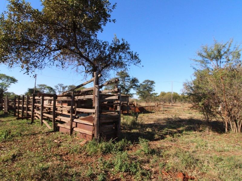 22.5 Ha Farm for Sale, Outside Modimolle - Photo 3