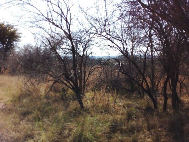 EXCLUSIVE Prime golf Green Belt Property - Ideal Price! - Photo 6