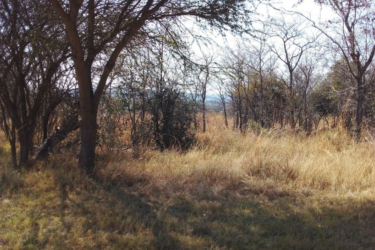 EXCLUSIVE Prime golf Green Belt Property - Ideal Price! - Photo 5
