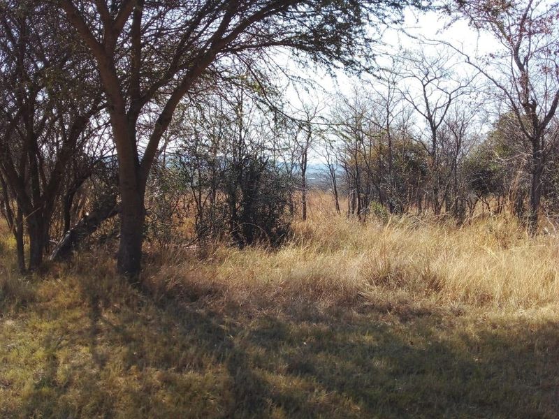 EXCLUSIVE Prime golf Green Belt Property - Ideal Price! - Photo 5