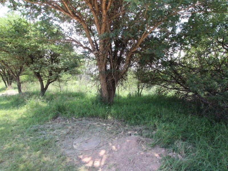 EXCLUSIVE Prime golf Green Belt Property - Ideal Price! - Photo 2