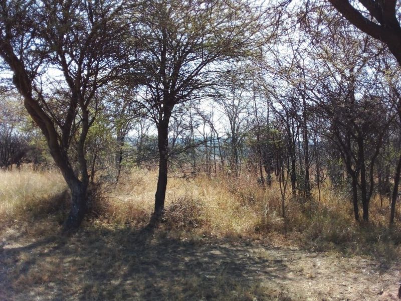 EXCLUSIVE Bushveld Green belt - Exciting Scope For your Golfers Paradise Dream Home - Photo 10