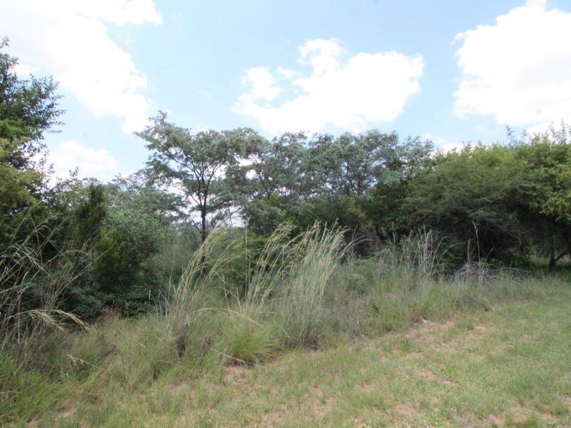 EXCLUSIVE Bushveld Green belt - Exciting Scope For your Golfers Paradise Dream Home - Photo 9
