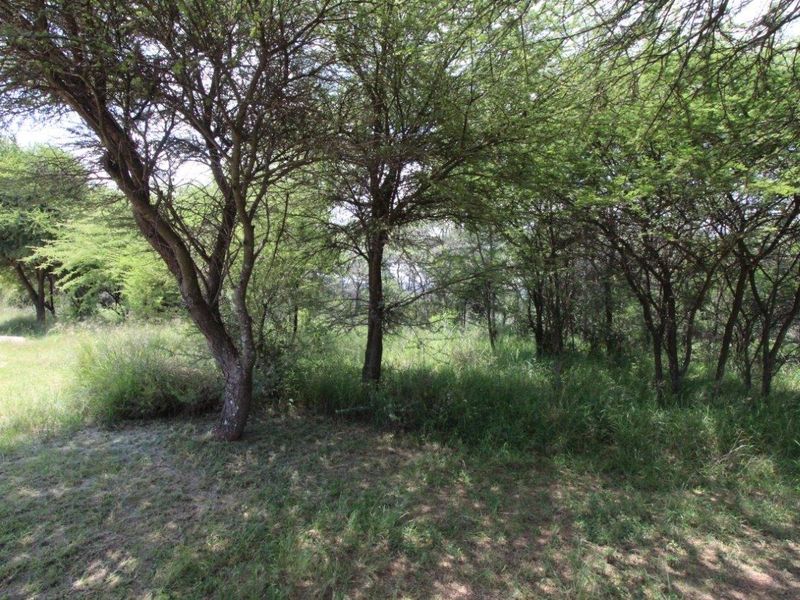 EXCLUSIVE Bushveld Green belt - Exciting Scope For your Golfers Paradise Dream Home - Photo 8