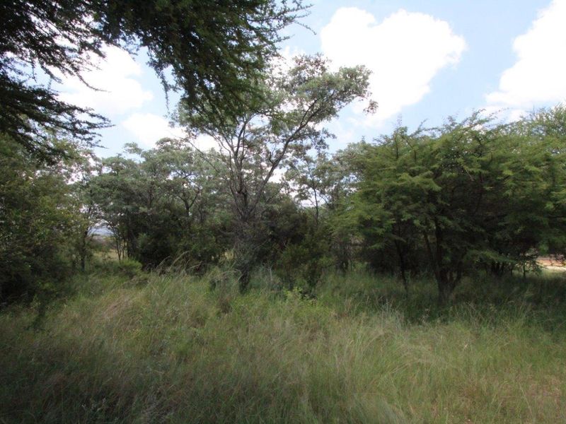 EXCLUSIVE Bushveld Green belt - Exciting Scope For your Golfers Paradise Dream Home - Photo 6