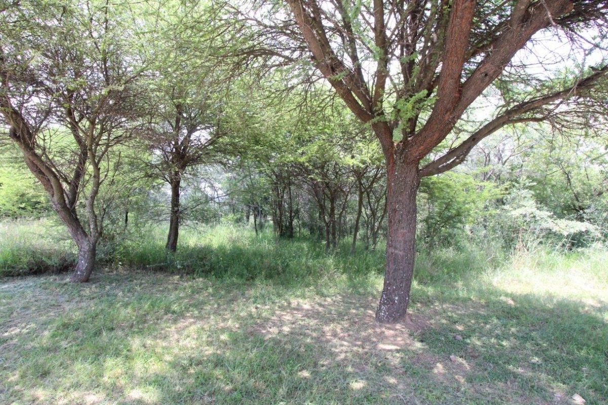 EXCLUSIVE Bushveld Green belt - Exciting Scope For your Golfers Paradise Dream Home - Photo 3