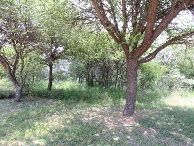 EXCLUSIVE Bushveld Green belt - Exciting Scope For your Golfers Paradise Dream Home - Photo 3