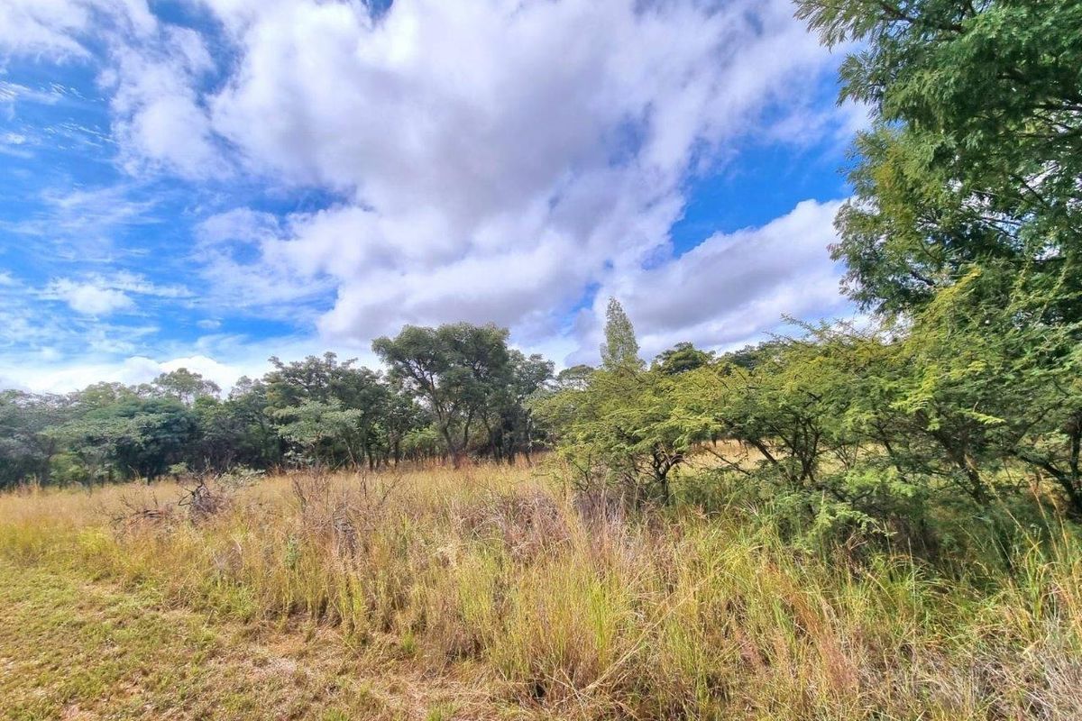 Take life at your own pace building your dream home on this 1ha+ stand! - Photo 3