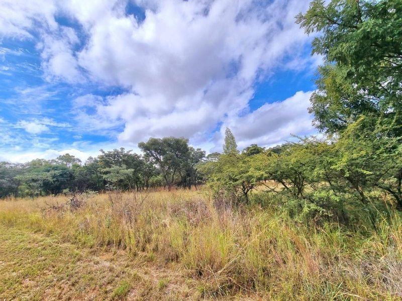 Take life at your own pace building your dream home on this 1ha+ stand! - Photo 3