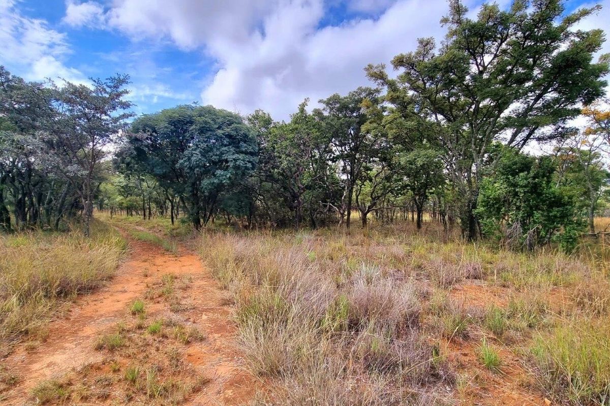 Take life at your own pace building your dream home on this 1ha+ stand! - Photo 2