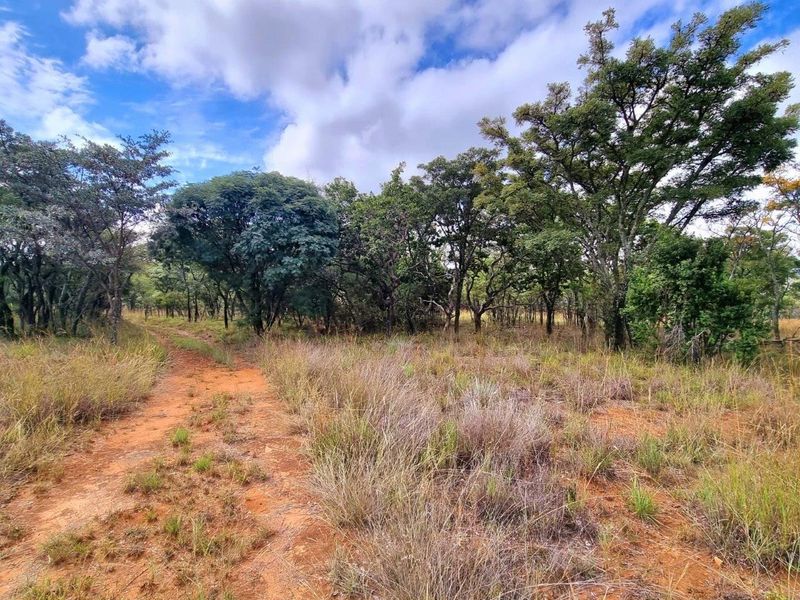 Take life at your own pace building your dream home on this 1ha+ stand! - Photo 2