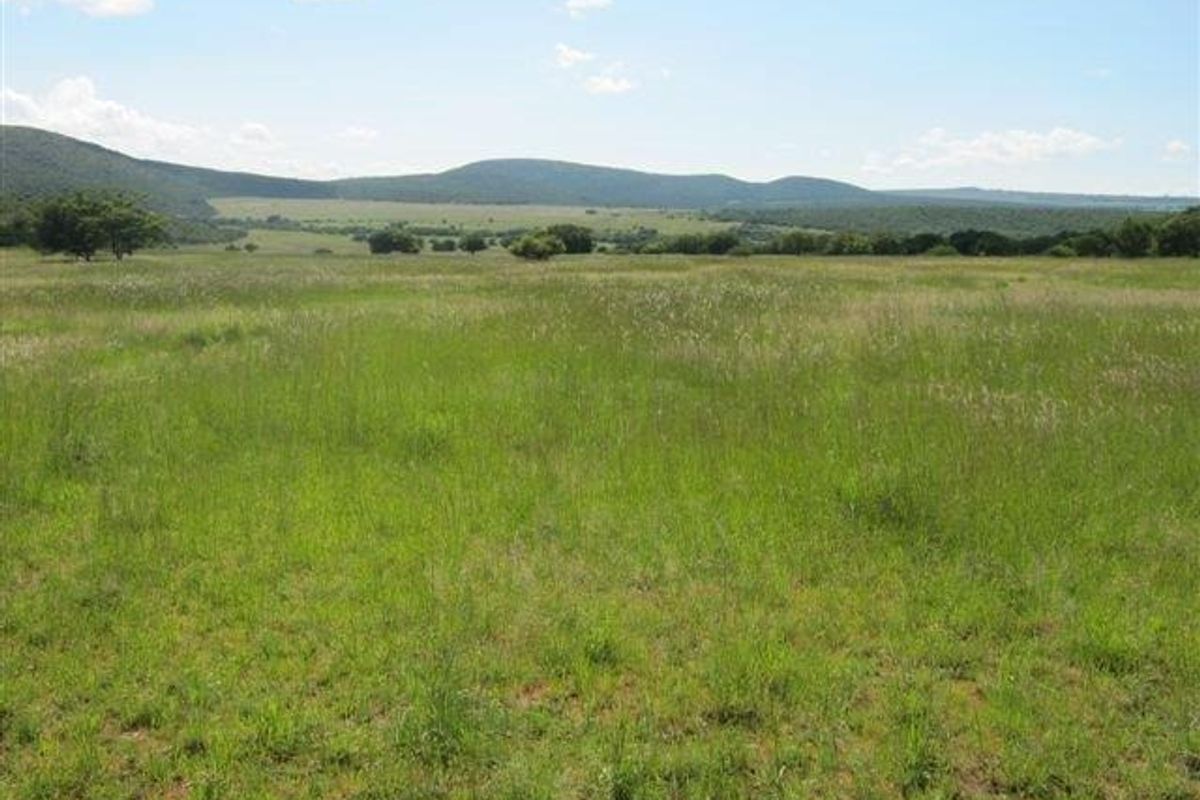 A Blank canvas waiting for its owner. - Photo 2