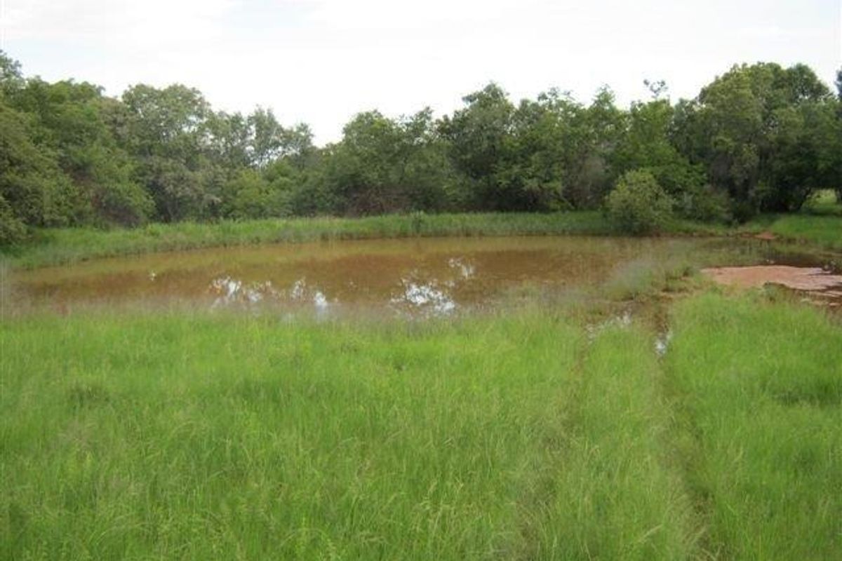 A Blank canvas waiting for its owner. - Photo 3