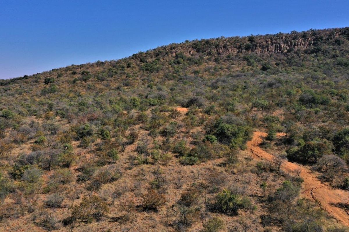 A Blank canvas waiting for its owner. - Photo 5