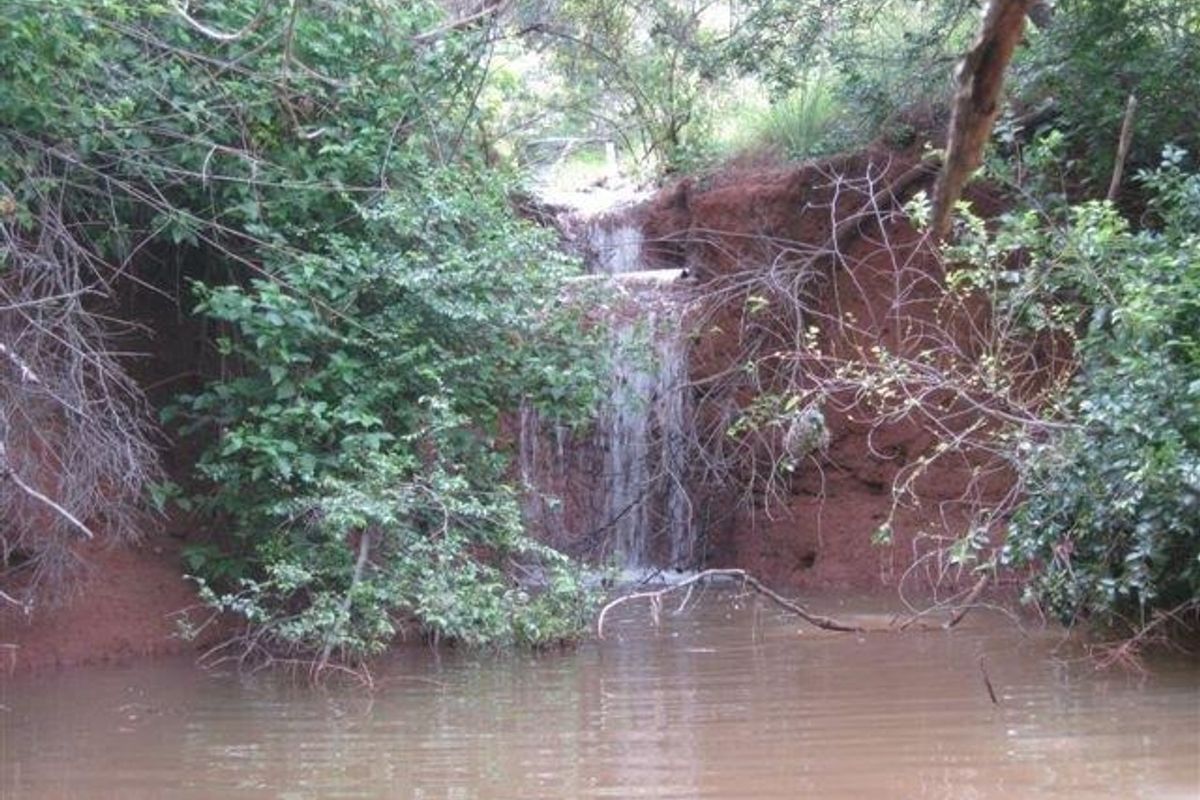 A Blank canvas waiting for its owner. - Photo 4