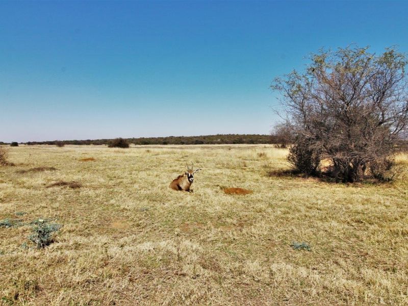 A wide-angle view of the vacant residential land featuring natural dry grassland and native vegetation.