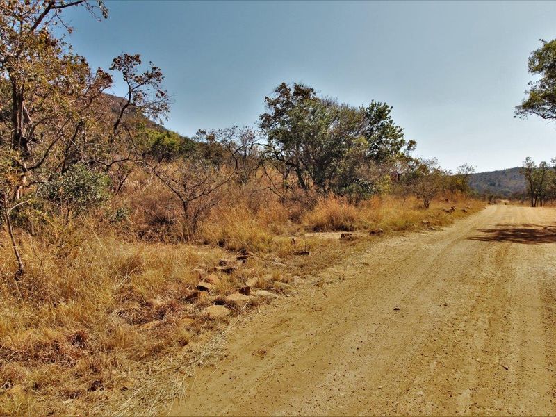 A view of the vacant residential land featuring natural vegetation, dry grass, and access via an unpaved dirt road.