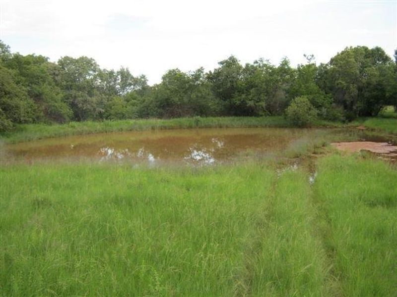 A natural pond located on the residential land, surrounded by mature trees and native grasses.