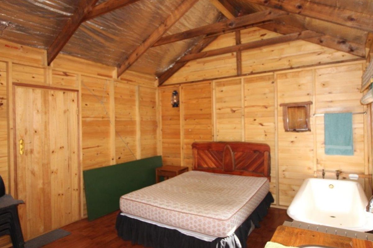 Rustic timber-clad bedroom featuring exposed wooden roof trusses, integrated bathroom fixtures, and warm wood flooring in a cabin-style setting.