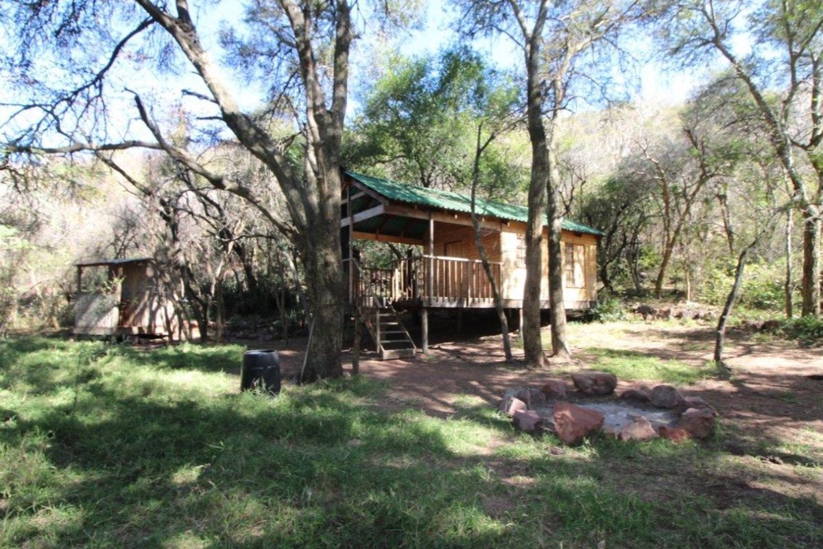A rustic wooden cabin set within a natural woodland clearing, featuring a raised deck, metal roof, and an outdoor stone fire pit area.