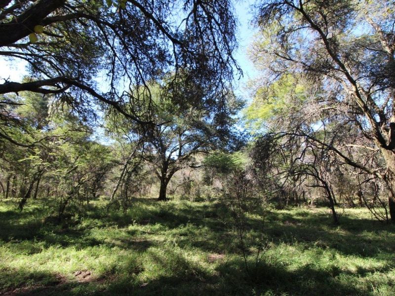 44 Ha Mountain Farm for Sale! - Photo 10