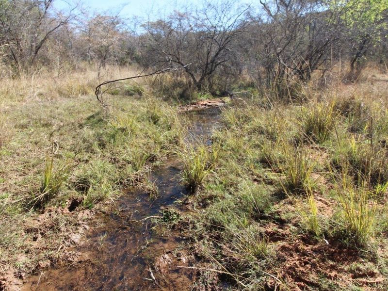 44 Ha Mountain Farm for Sale! - Photo 9