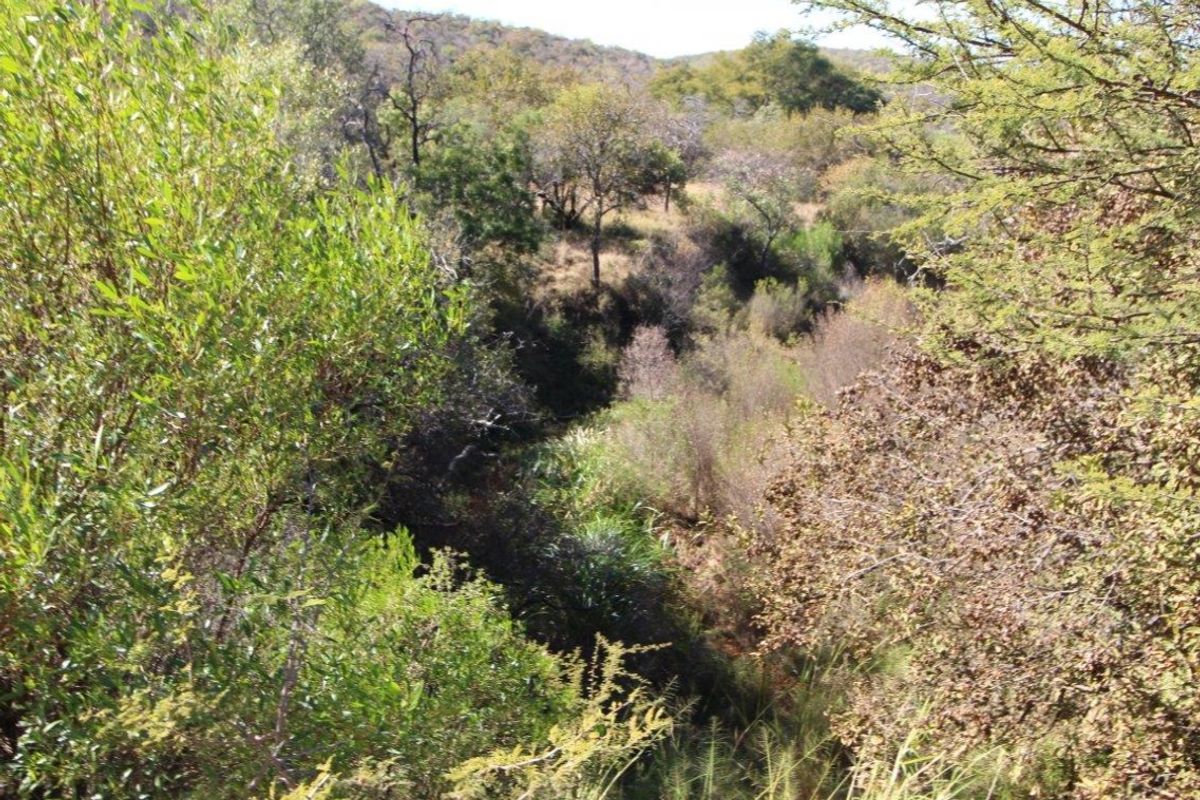 44 Ha Mountain Farm for Sale! - Photo 4