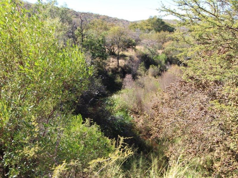 44 Ha Mountain Farm for Sale! - Photo 4