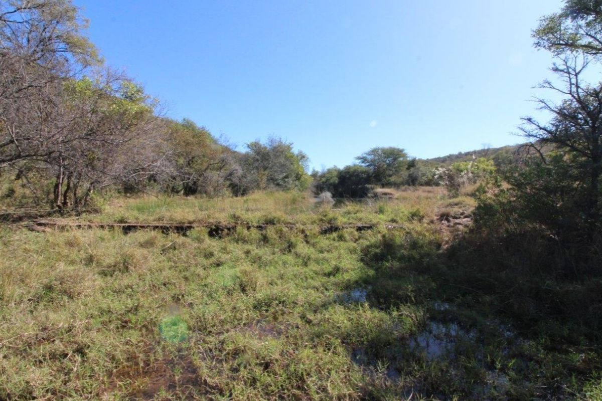 44 Ha Mountain Farm for Sale! - Photo 3