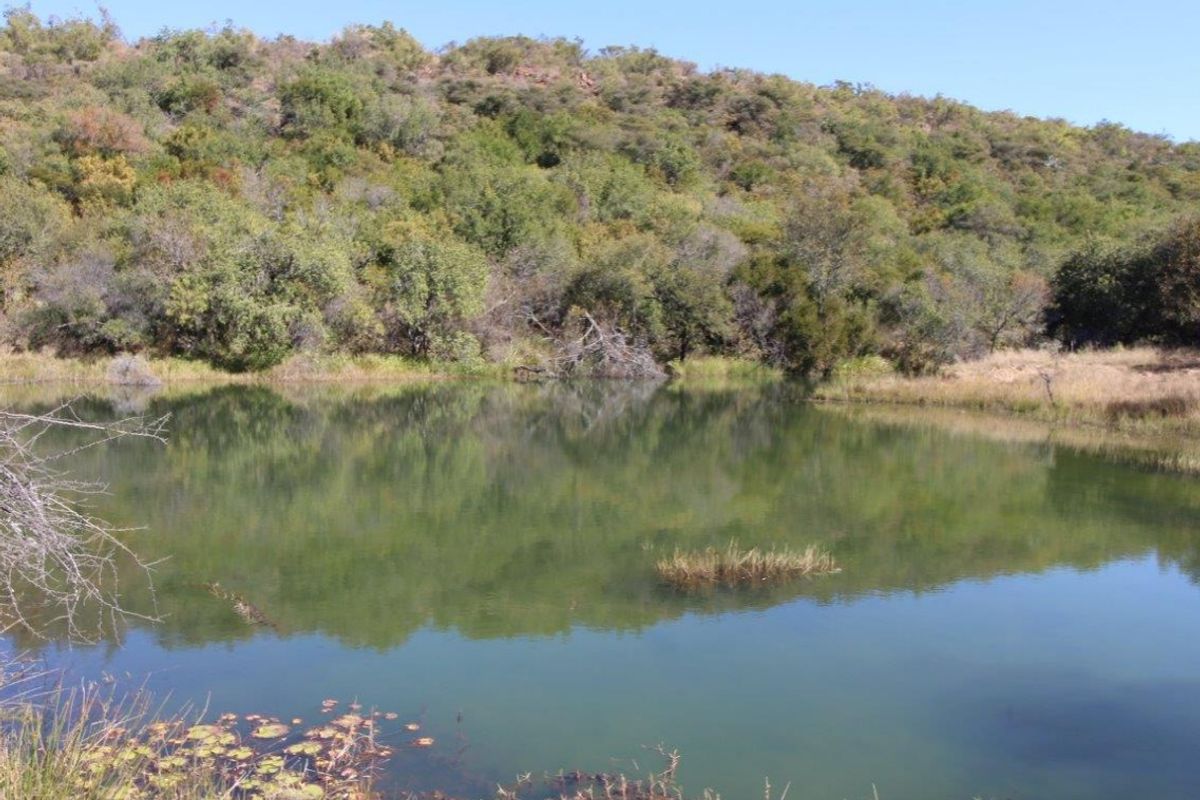 44 Ha Mountain Farm for Sale! - Photo 5