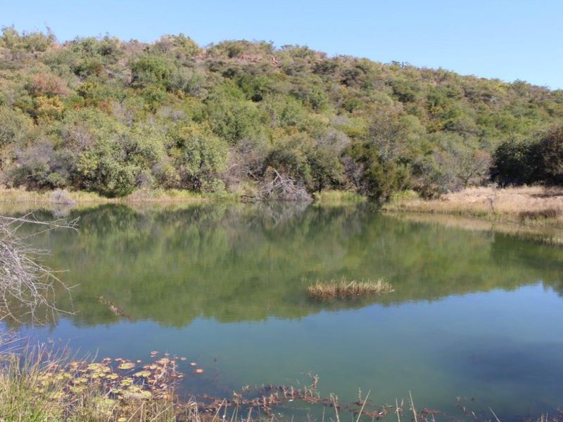 44 Ha Mountain Farm for Sale! - Photo 5