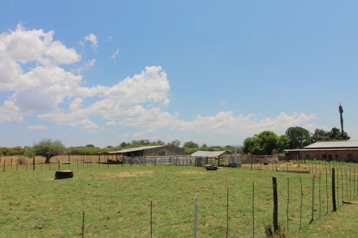 Expansive farm landscape featuring fenced grazing paddocks, livestock handling facilities, and various agricultural outbuildings under a clear sky.