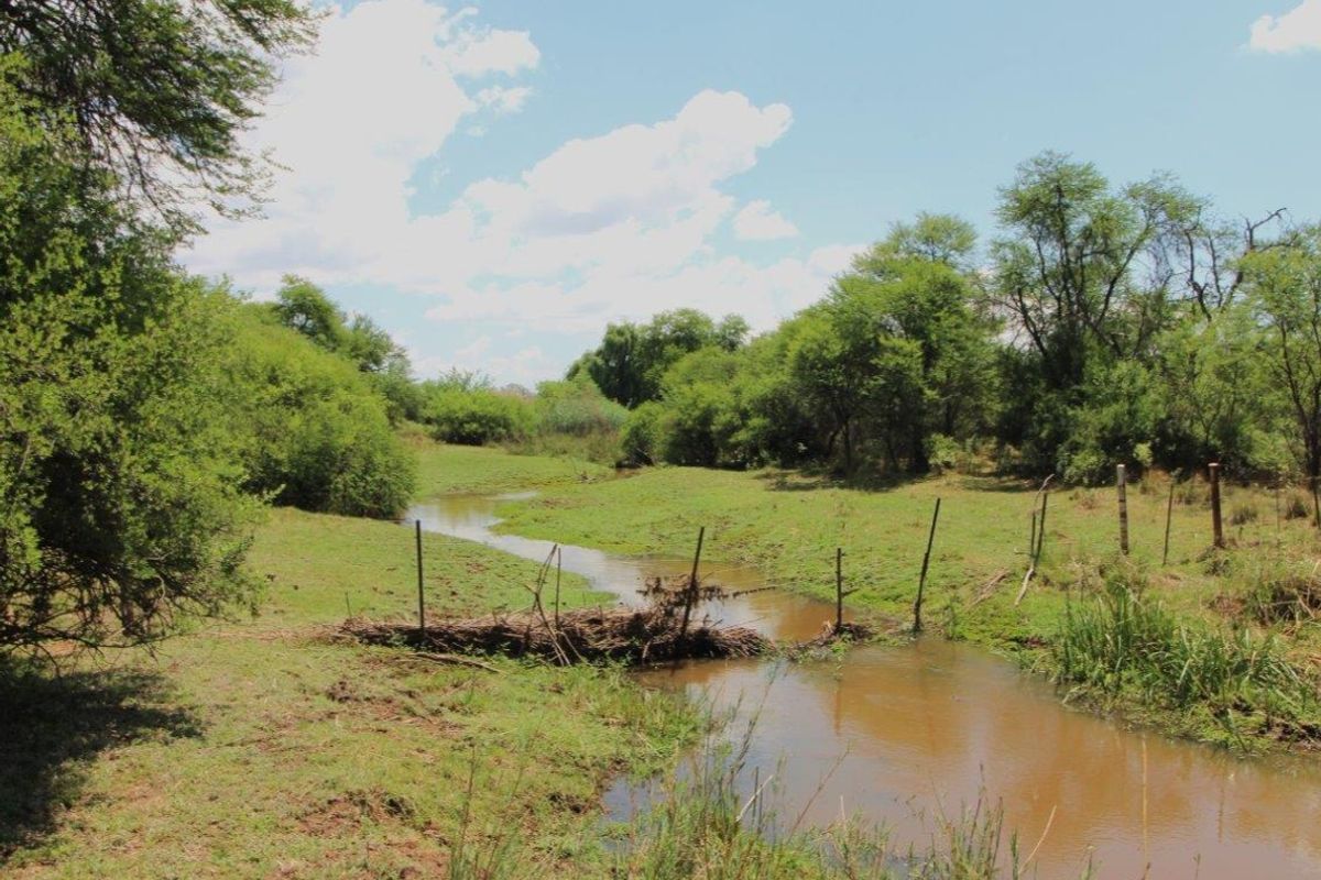 Cattle/Game Farm For Sale! - Photo 2