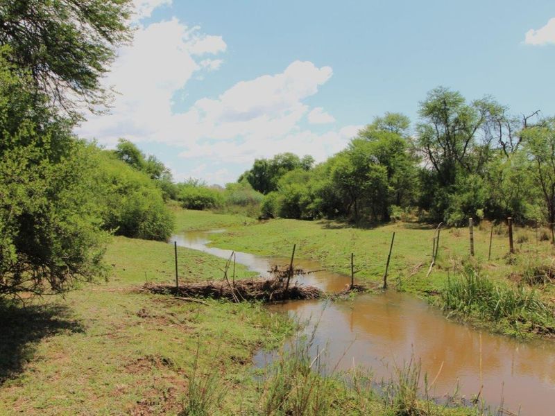 Cattle/Game Farm For Sale! - Photo 2