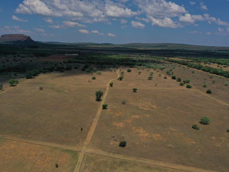 Cattle/Game Farm For Sale! - Photo 10