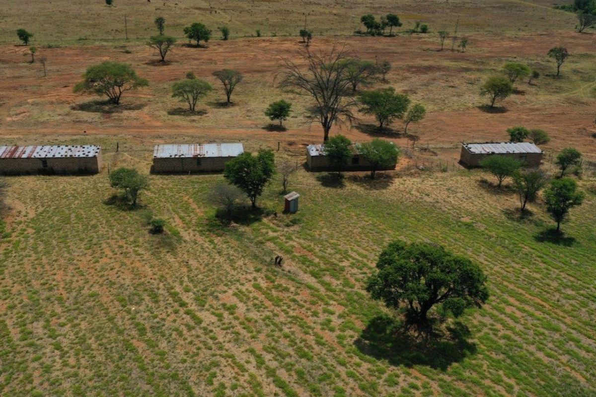 Cattle/Game Farm For Sale! - Photo 3