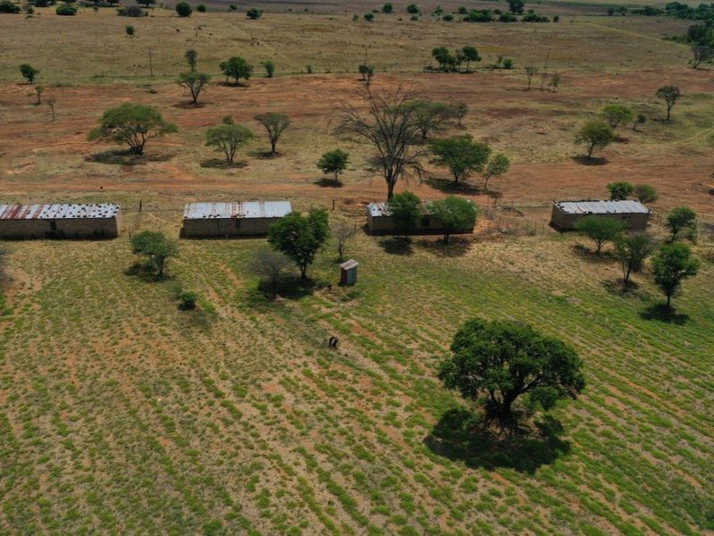 Cattle/Game Farm For Sale! - Photo 3