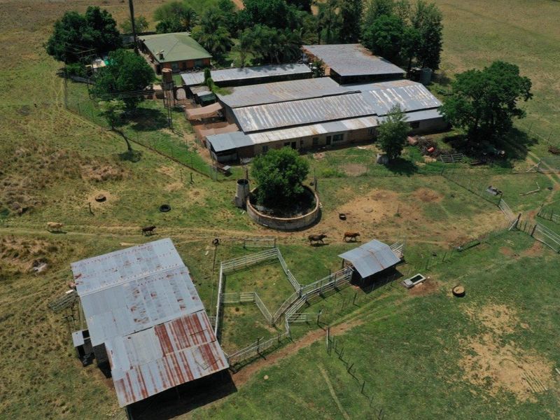 Cattle/Game Farm For Sale! - Photo 8