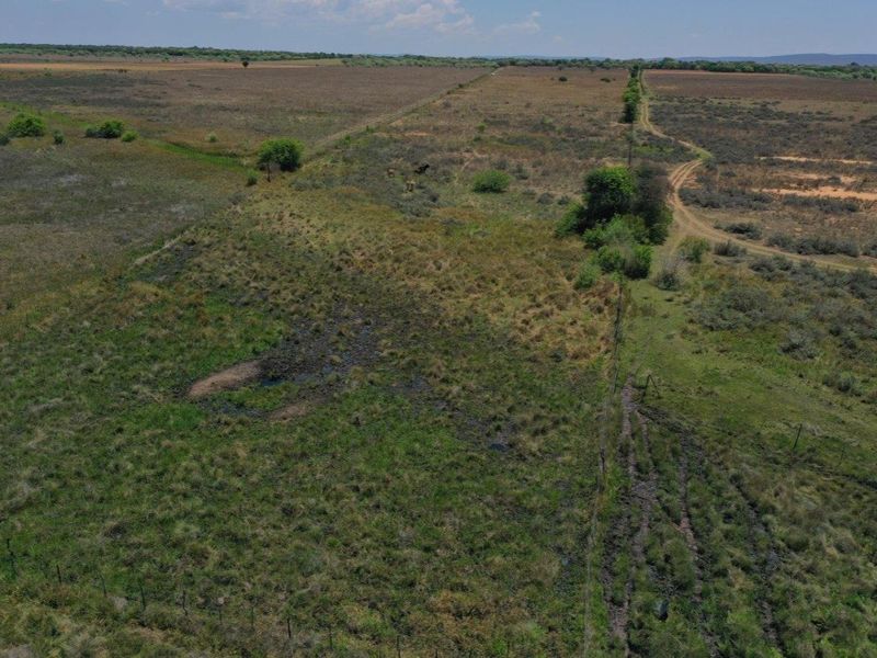 Cattle/Game Farm For Sale! - Photo 7