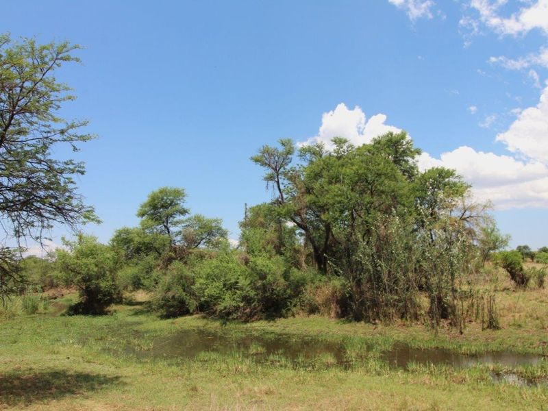 Cattle/Game Farm For Sale! - Photo 6