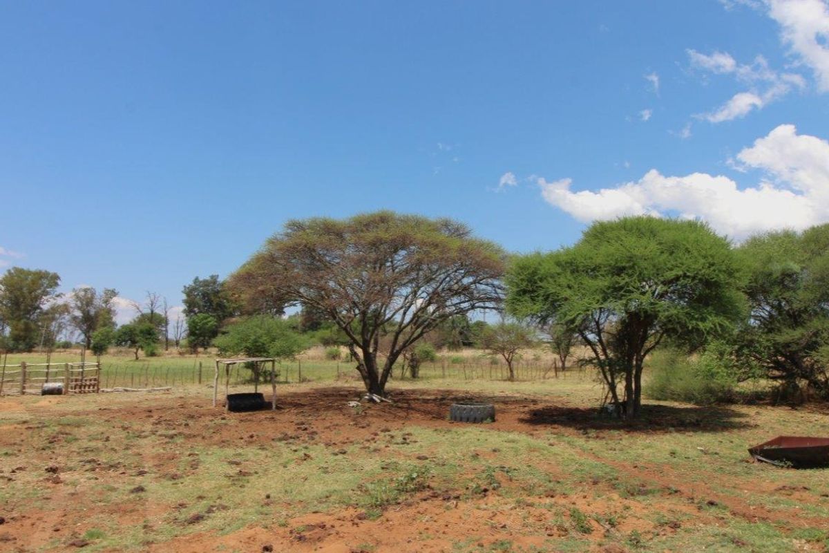 Cattle/Game Farm For Sale! - Photo 4