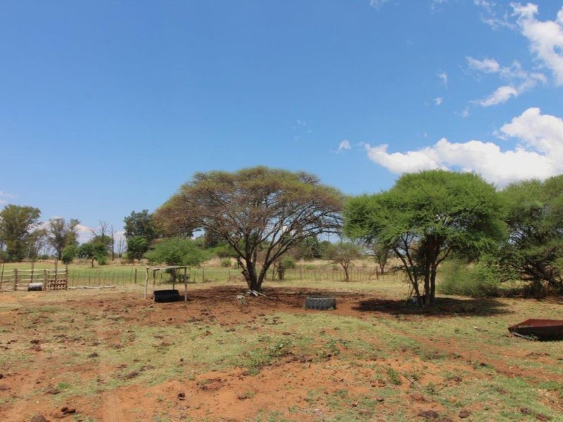 Cattle/Game Farm For Sale! - Photo 4