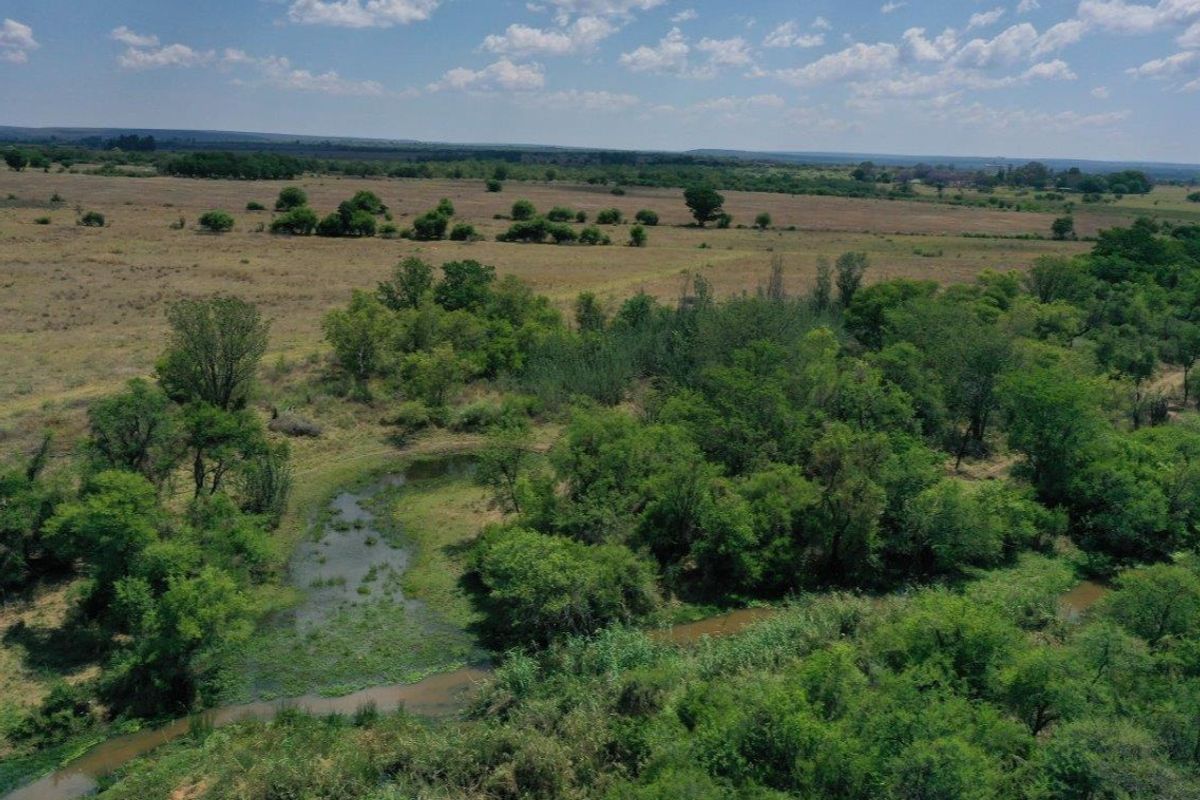 Cattle/Game Farm For Sale! - Photo 5