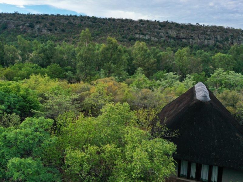 Self Sustainable Lifestyle Farm - Photo 5