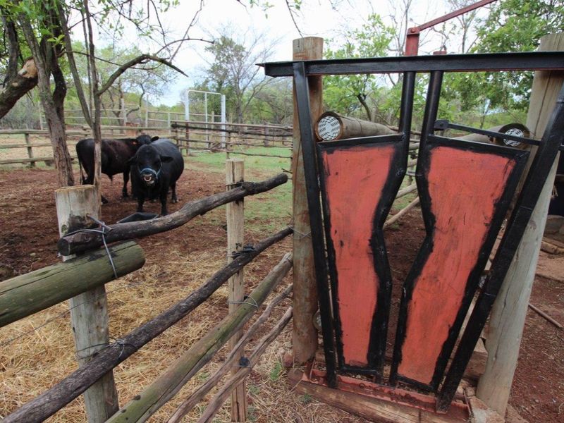 Self Sustainable Lifestyle Farm - Photo 10