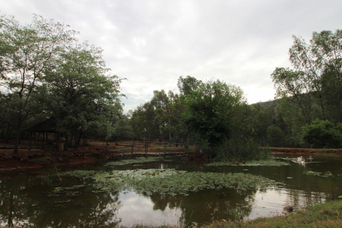 Self Sustainable Lifestyle Farm - Photo 2
